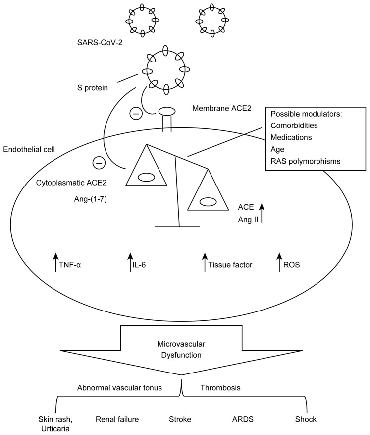 Figure 1