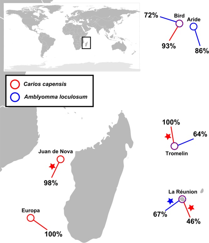 FIG 3