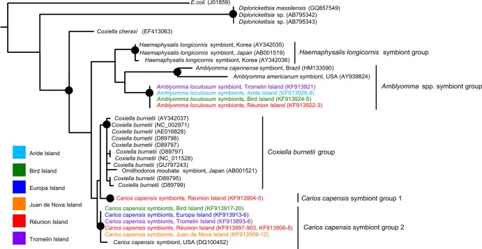 FIG 4