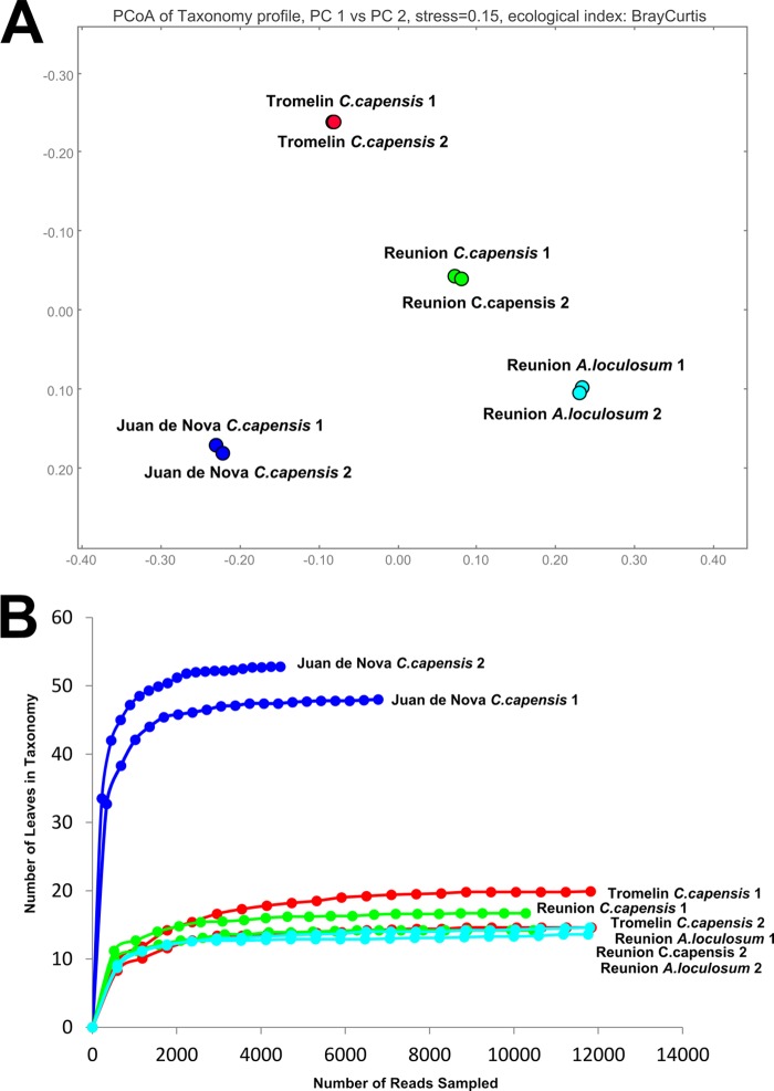 FIG 1