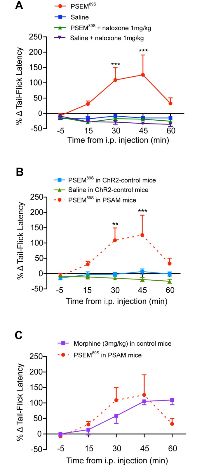 Fig 10