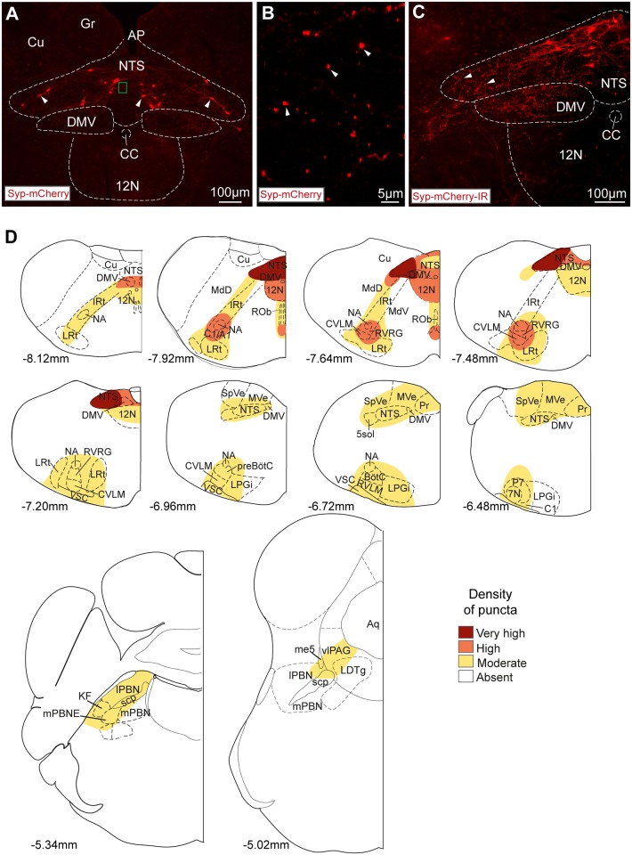 Fig 3