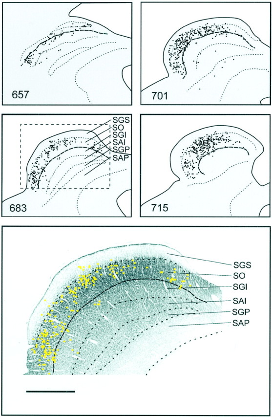 Fig. 4.