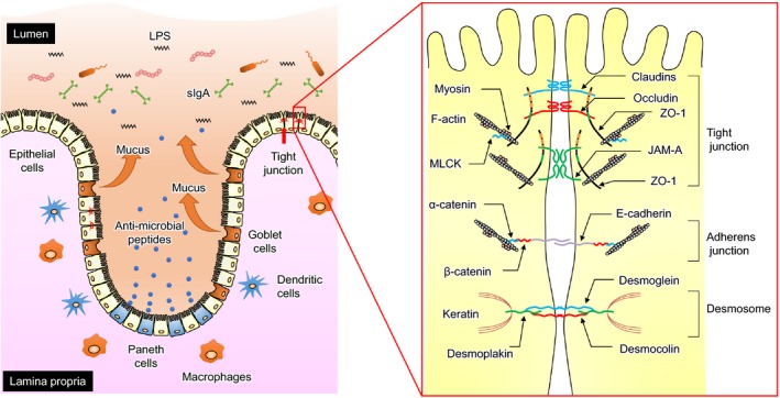 FIGURE 1