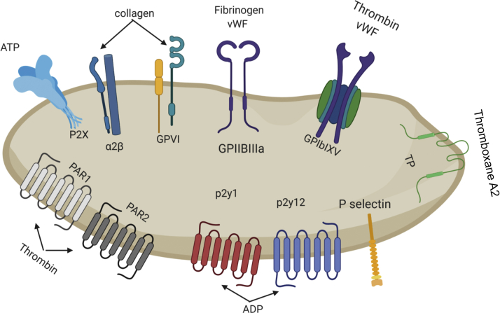 Figure 1