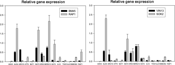 Figure 2 