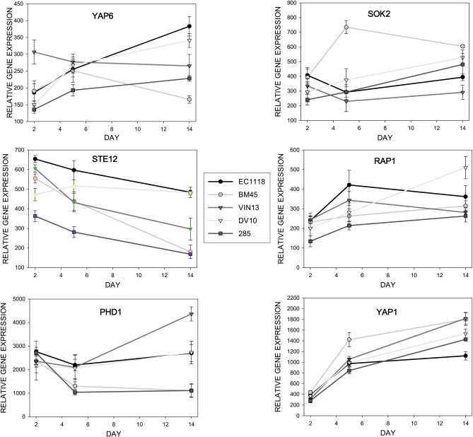 Figure 1 