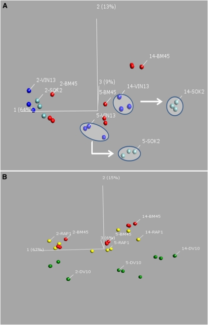 Figure 4 