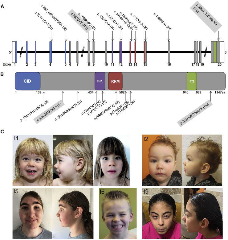 Figure 1