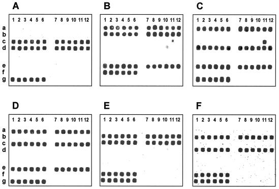 FIG. 6.