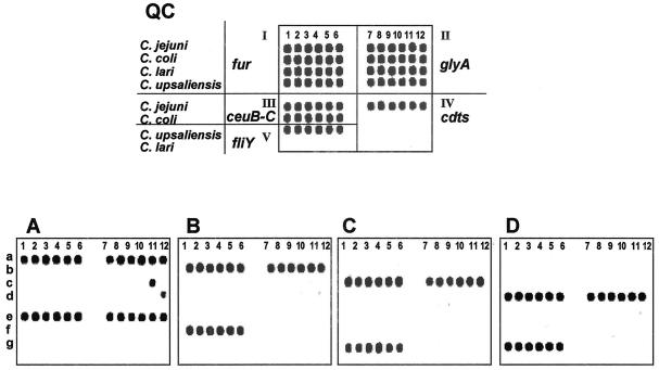 FIG. 4.