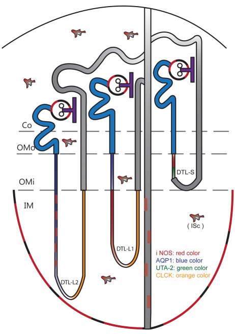 Figure 10.