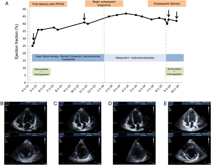 Figure 1