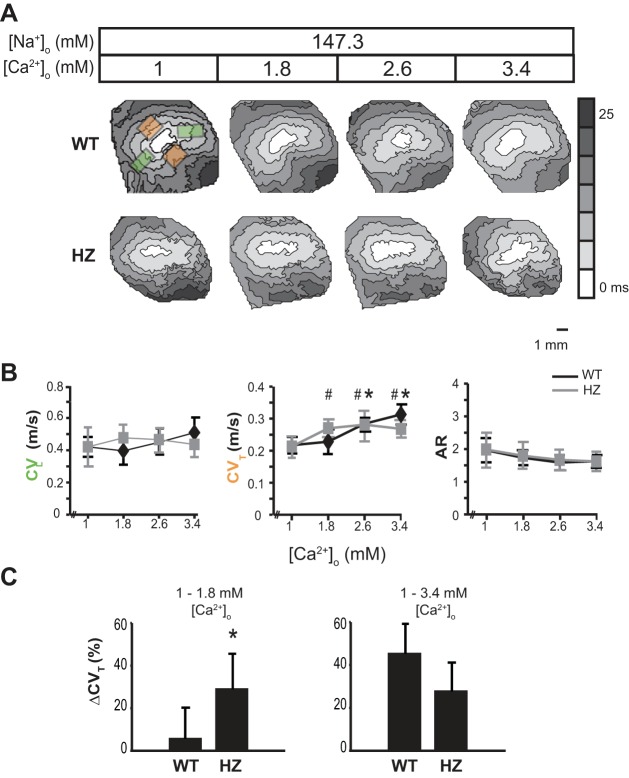 Fig. 2.