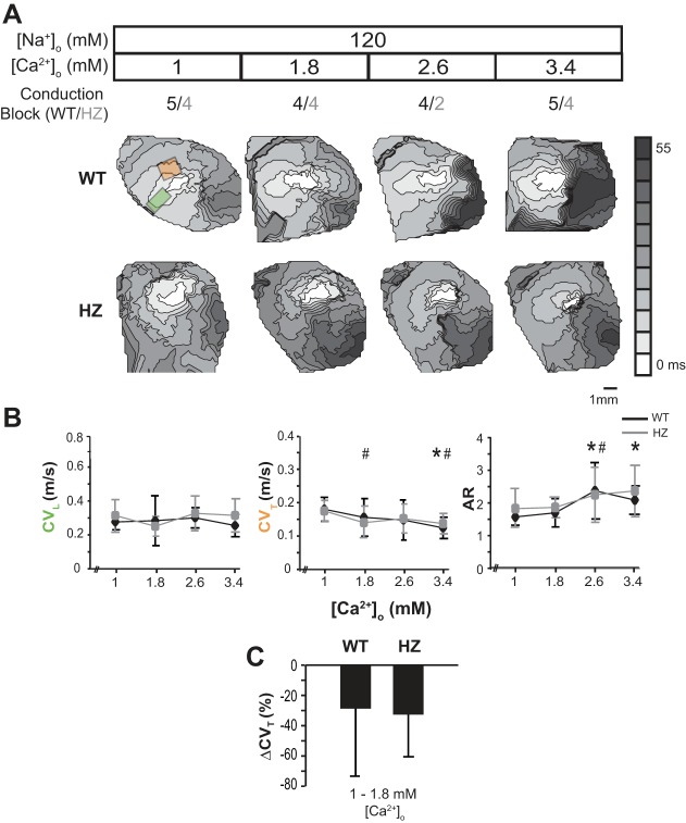 Fig. 4.