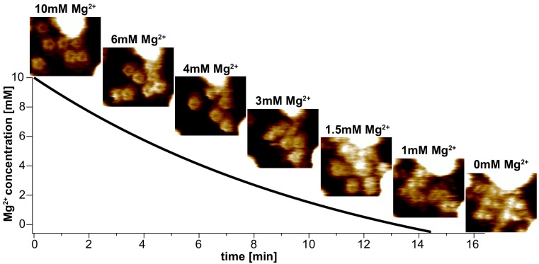 Figure 2—figure supplement 2.