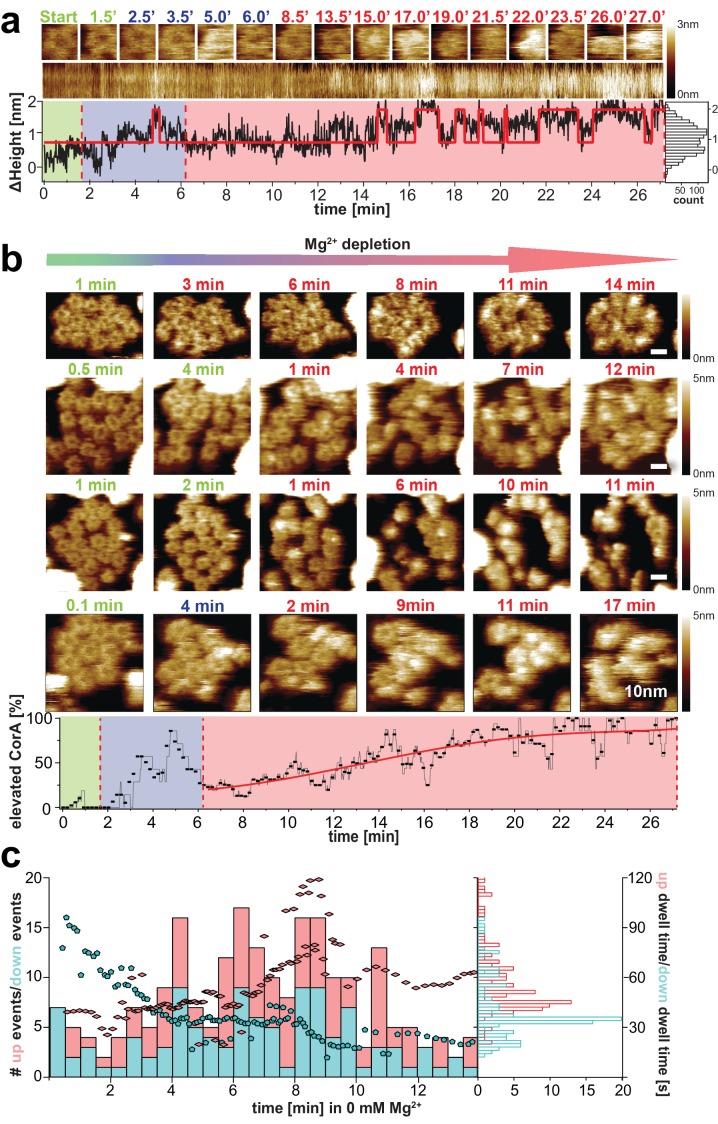 Figure 3.