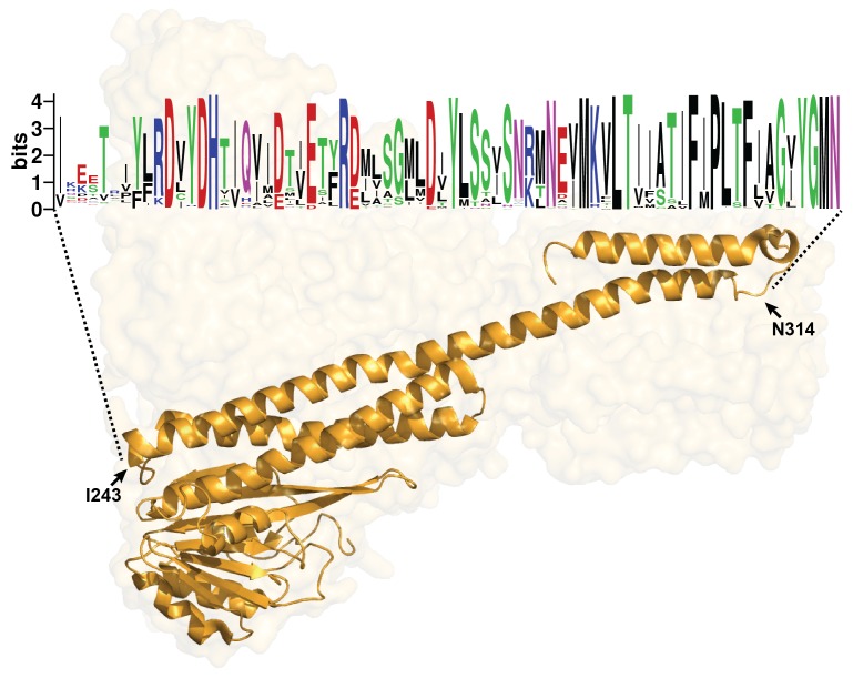 Figure 5—figure supplement 1.