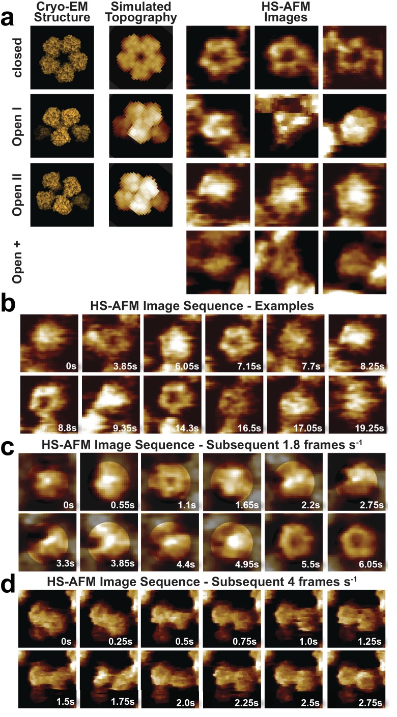 Figure 4.