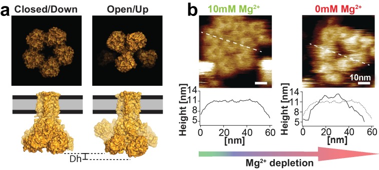 Figure 2.