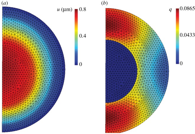 Figure 11.