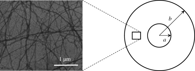 Figure 9.