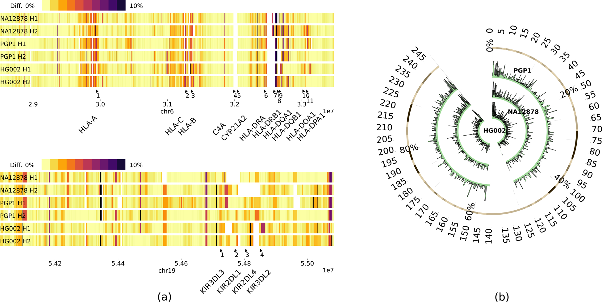 Fig 2: