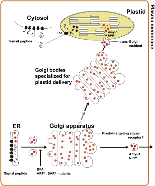 Figure 9.