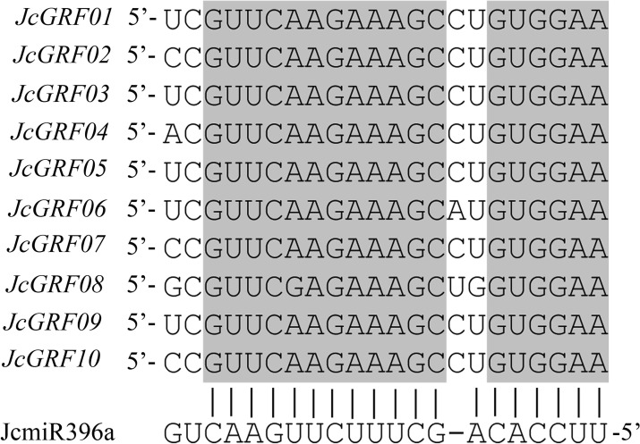 Fig 5