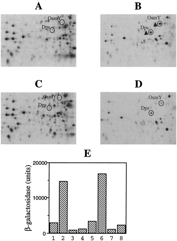 FIG. 7