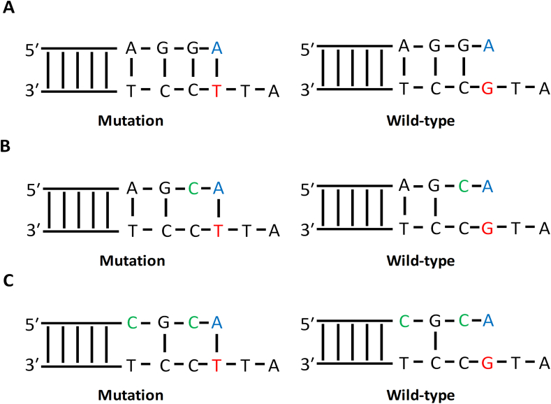 Figure 2