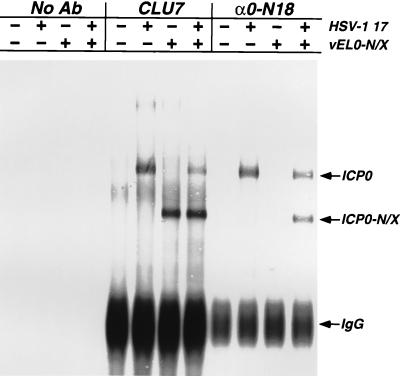 FIG. 10