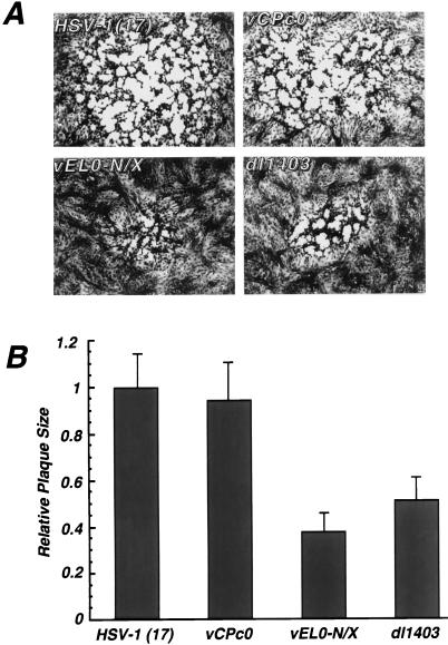 FIG. 5