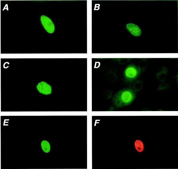 FIG. 8