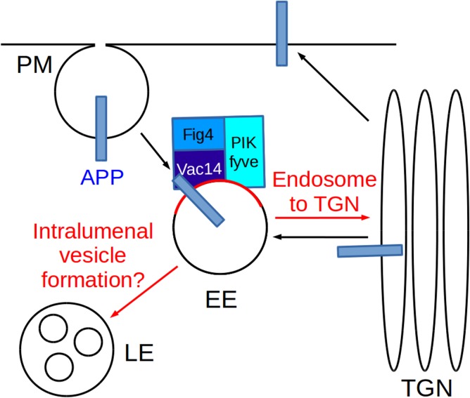 Fig 7