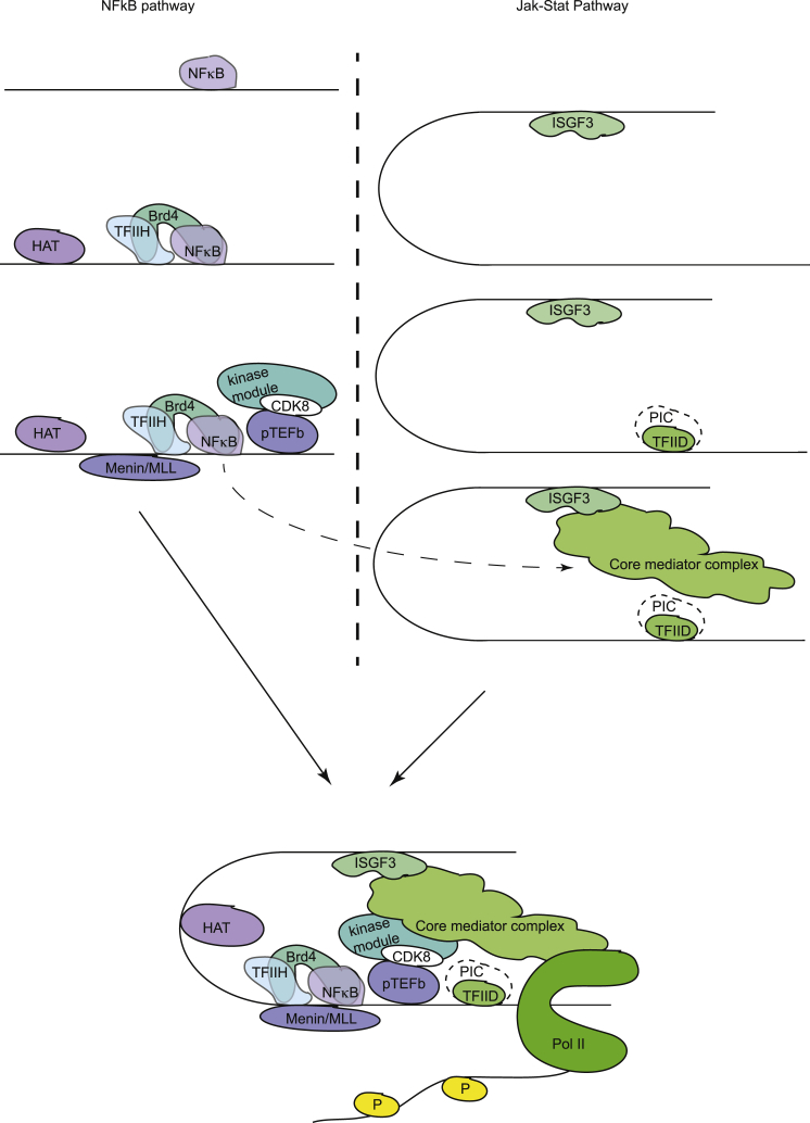 Figure 7