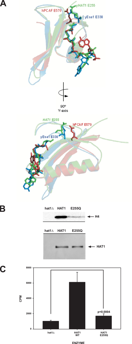 FIGURE 1.