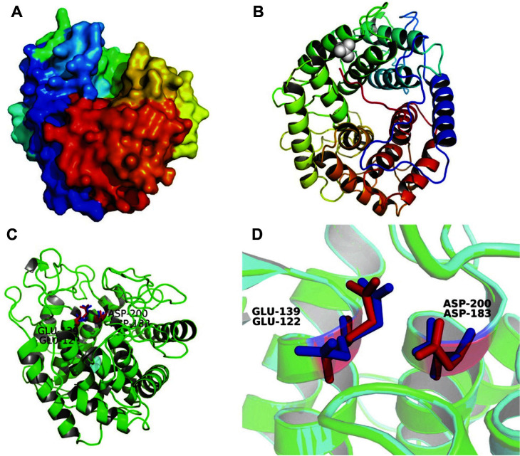 Fig. 2