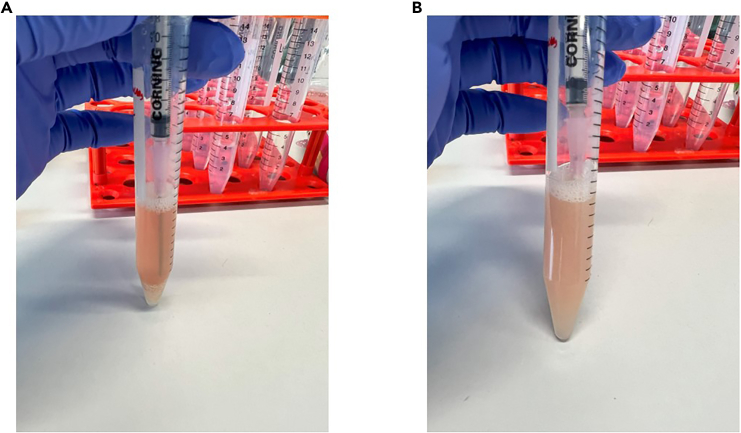 Figure 3