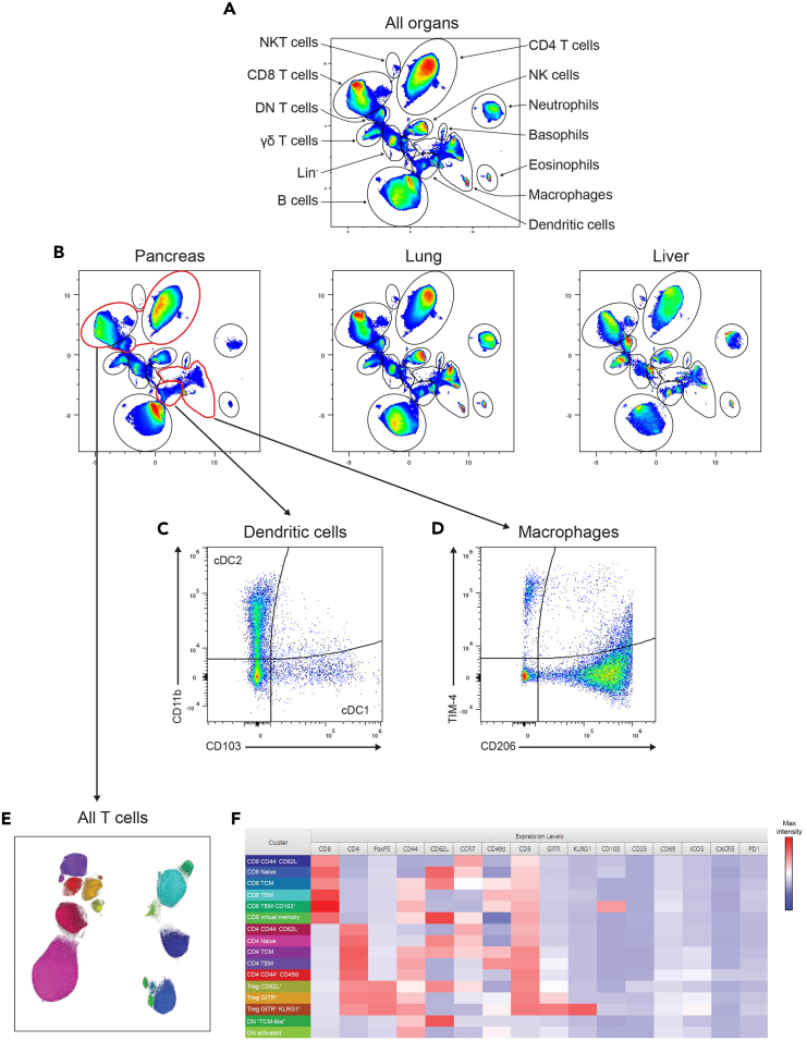 Figure 6