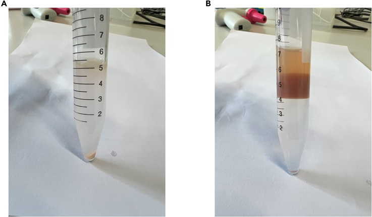 Figure 5