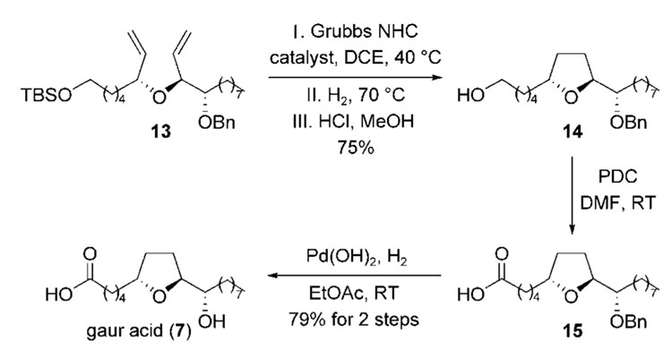 Scheme 4