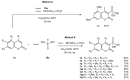 Scheme 9