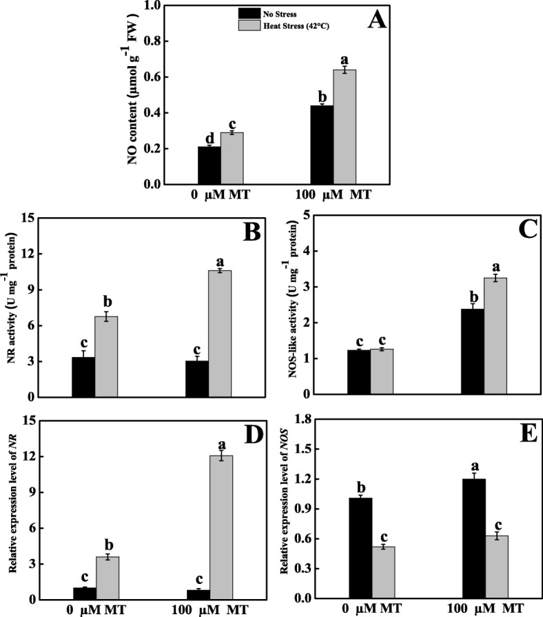 Fig. 10