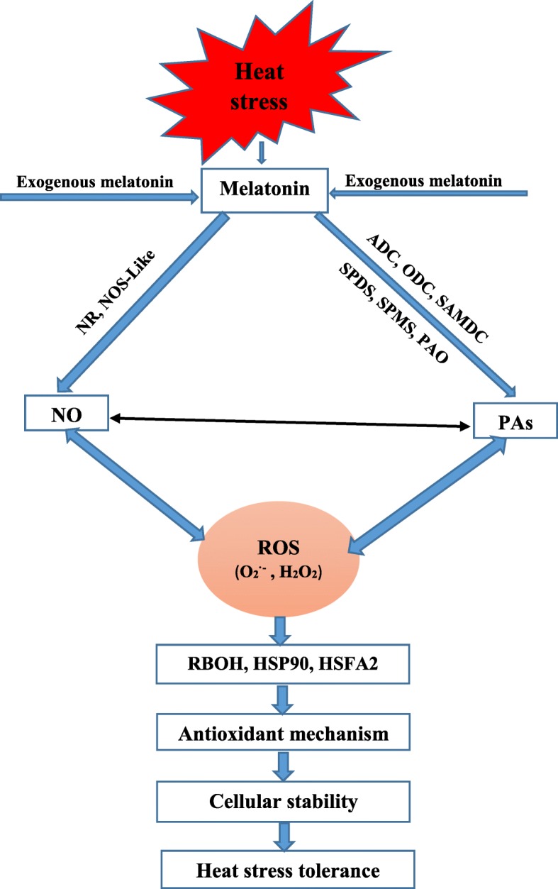 Fig. 11