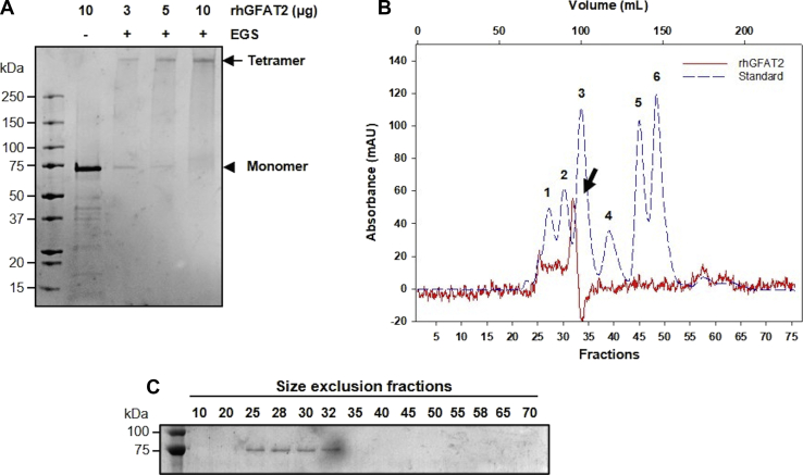 Figure 1