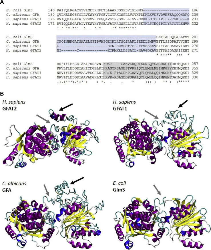 Figure 3