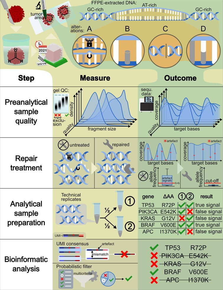 Graphical Abstract