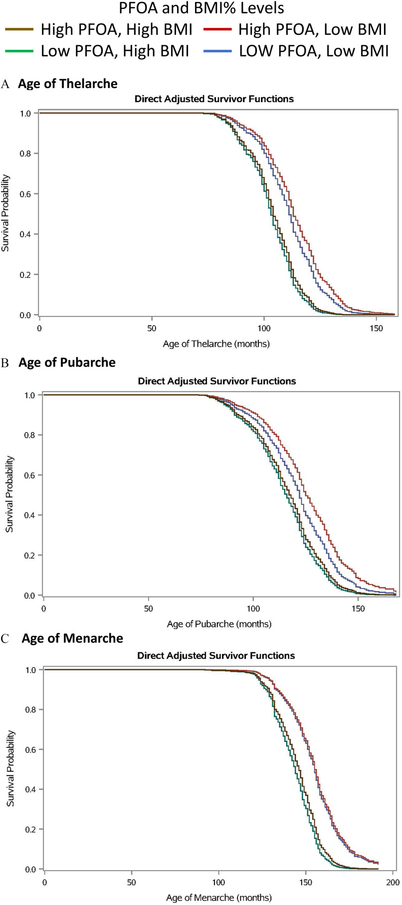 Figures 1A to 1C are line graphs titled Age of Thelarche, Age of Pubarche, and Age of Menarche, plotting Survival probability, ranging from 0.0 to 1.0 in increments of 0.2 (y-axis) across Age of Thelarche (months), ranging from 0 to 150 in increments of 50; Age of Pubarche (months), ranging from 0 to 150 in increments of 50; and Age of Menarche (months), ranging from 0 to 200 in increments of 50 (x-axis), for Perfluorooctanoic acid and Body mass index percentage levels, including High perfluorooctanoic acid, High body mass index; High perfluorooctanoic acid, Low body mass index; Low perfluorooctanoic acid, High body mass index; and Low perfluorooctanoic acid, Low body mass index.