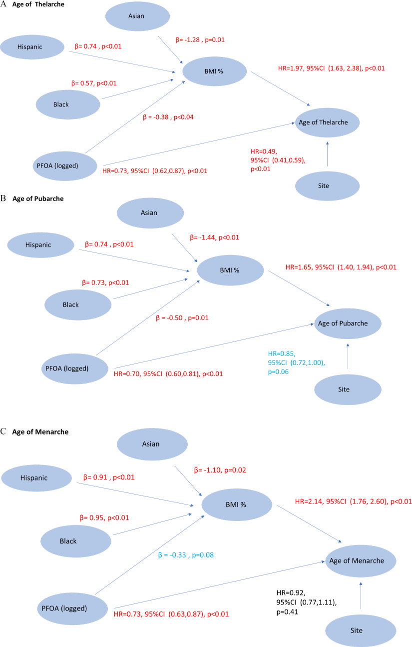 Figure 2A is a flowchart titled Age of Thelarche with two steps. Step 1: Asian (lowercase beta equals 1.28, lowercase p equals 0.01), Hispanic (lowercase beta equals 0.74, lowercase p less than 0.01), Black (lowercase beta equals 0.57, lowercase p less than 0.01), Perfluorooctanoic acid (logged) (lowercase beta equals 0.38, lowercase p less than 0.04) lead to body mass index percentage. Step 2: Perfluorooctanoic acid (logged) (hazard ratio equals 0.73, 95 percent confidence interval (0.62, 0.87), lowercase p less than 0.01), Body mass index percentage (hazard ratio equals 1.97, 95 percent confidence interval (1.63, 2.38), lowercase p less than 0.01), and Site (hazard ratio equals 0.49, 95 percent confidence interval (0.41, 0.59), lowercase p less than 0.01) lead to Age of Thelarche. Figure 2B is a flowchart titled Age of Pubarche with two steps. Step 1: Asian (lowercase beta equals 1.44, lowercase p equals 0.01), Hispanic (lowercase beta equals 0.74, lowercase p less than 0.01), Black (lowercase beta equals 0.73, lowercase p less than 0.01), Perfluorooctanoic acid (logged) (lowercase beta equals negative 0.50, lowercase p equals 0.01) lead to body mass index percentage. Step 2: Perfluorooctanoic acid (logged) (hazard ratio equals 0.70, 95 percent confidence interval (0.60, 0.81), lowercase p less than 0.01), Body mass index percentage (hazard ratio equals 1.65, 95 percent confidence interval (1.40, 1.94), lowercase p less than 0.01), and Site (hazard ratio equals 0.85, 95 percent confidence interval (0.72, 1.00), lowercase p equals 0.06) lead to Age of Pubarche. Figure 2C is a flowchart titled Age of Menarche with two steps. Step 1: Asian (lowercase beta equals 1.10, lowercase p equals 0.02), Hispanic (lowercase beta equals 0.91, lowercase p less than 0.01), Black (lowercase beta equals 0.95, lowercase p less than 0.01), Perfluorooctanoic acid (logged) (lowercase beta equals 0.33, lowercase p equals 0.08) lead to body mass index percentage. Step 2: Perfluorooctanoic acid (logged) (hazard ratio equals 0.73, 95 percent confidence interval (0.63, 0.87), lowercase p less than 0.01), Body mass index percentage (hazard ratio equals 2.14, 95 percent confidence interval (1.76, 2.60), lowercase p less than 0.01), and Site (hazard ratio equals 0.92, 95 percent confidence interval (0.77, 1.11), lowercase p equals 0.41) lead to Age of Menarche.